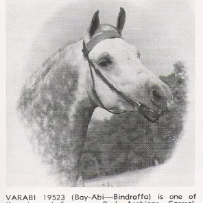 VARABI