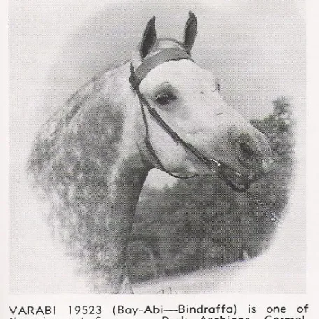 VARABI
