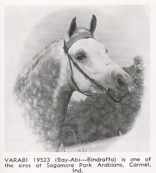 VARABI
