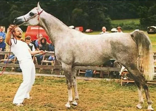 Estasha