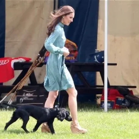 Royal, England, Elizabeth, King Charles the second, Price Robert, Prince William, Catherine (Kate) Middleton