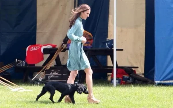 Royal, England, Elizabeth, King Charles the second, Price Robert, Prince William, Catherine (Kate) Middleton