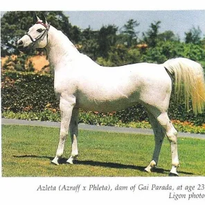 Azleta