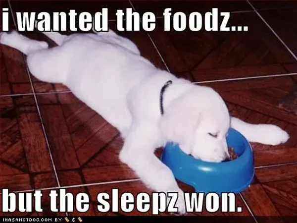 Too sleepy to eat