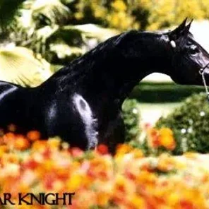 KK WAR KNIGHT