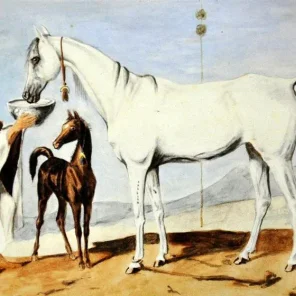 Sahara IV