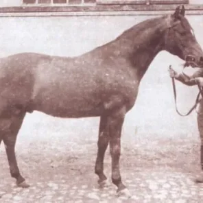 WIELKI SZLEM