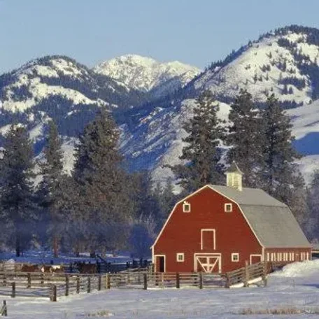Covered Bridges and Winter Barns