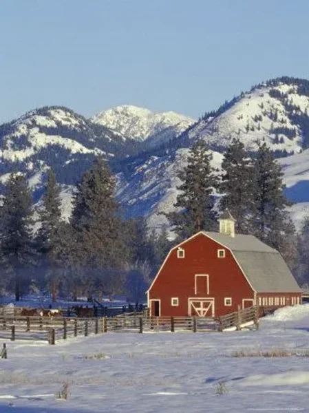 Covered Bridges and Winter Barns