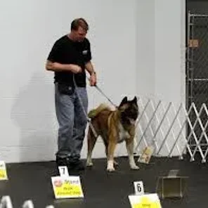 Agility Part 2 (Rally)