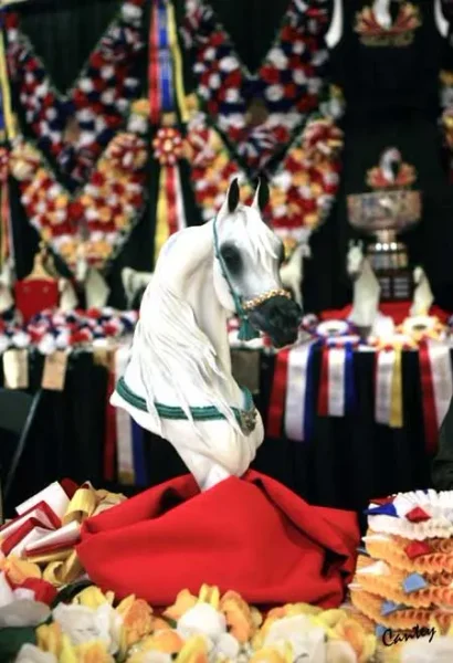Arabians Breeders World Cup