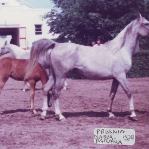 PRESNIA