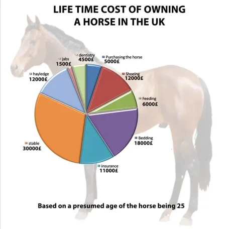 Cost of Owning a Horse
