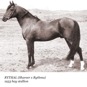 Rythal