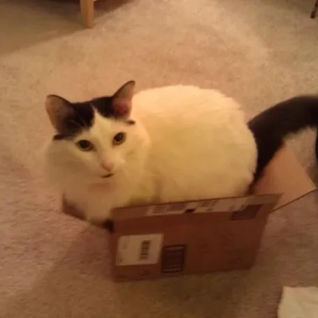 Of COURSE she fits.