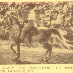 El Attary