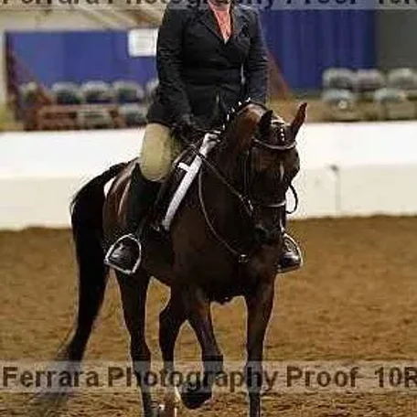 Region 12 2010