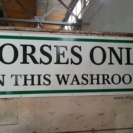 #pottytrainedhorse Can a horse be Potty Trained