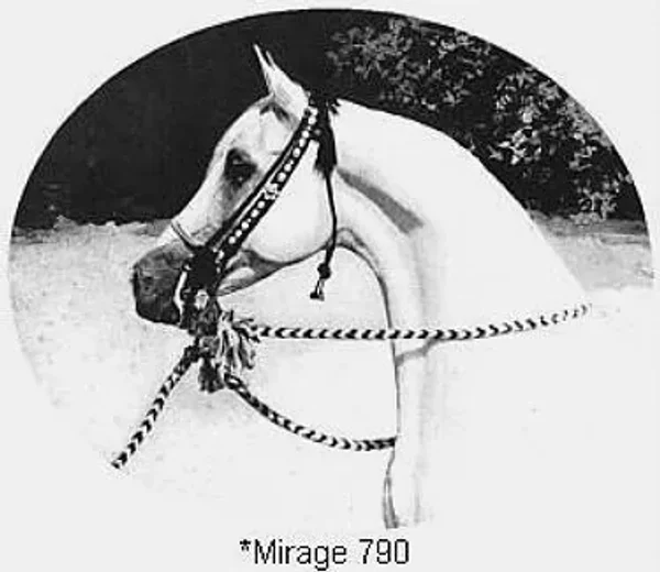 *MIRAGE