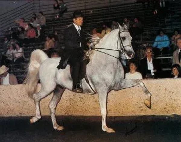 El Risaan