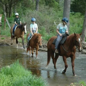 Is Horse Trail Riding For Me?
