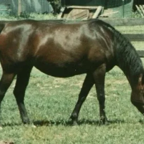 Beylenta