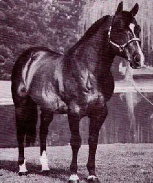 Fritz Dee