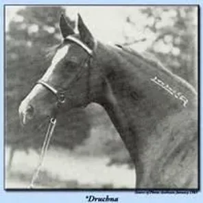 *DRUCHNA