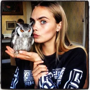 Hollywoods Stars and Some of Their Pets