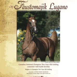 CW FAUSTOMAJIK LUGANO