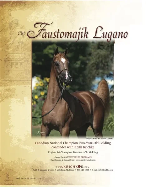 CW FAUSTOMAJIK LUGANO