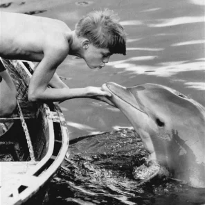 Flipper