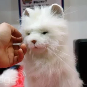 Will Robots Replace Pets?