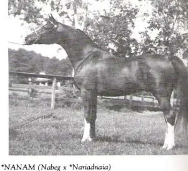 Neman