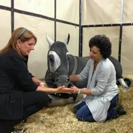 The bond we share is like no other.....Kristi Waters and Bugatti.