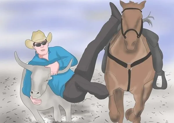Riding Disciplines and Equestrian Styles - which one is right for you