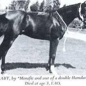 El Araby