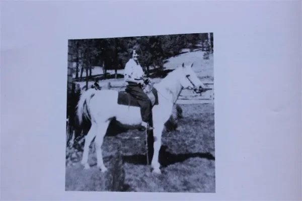 Basim (Raseyn x Ferdana) grey stallion, foaled September 22, 1945
bred by United States Government