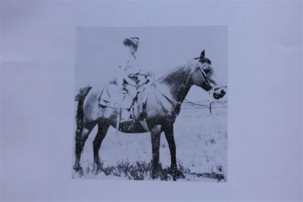 Viqui (Raseyn x Jirre) bay mare, foaled June 27, 1946
bred by Mrs. Blythe Williams