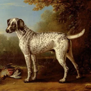 Reigning Cats and Dogs Pt 5