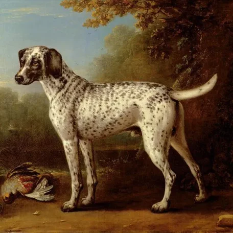 Reigning Cats and Dogs Pt 5