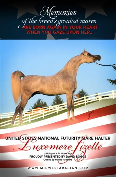 Luxemere Jizette