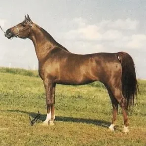 JALANA