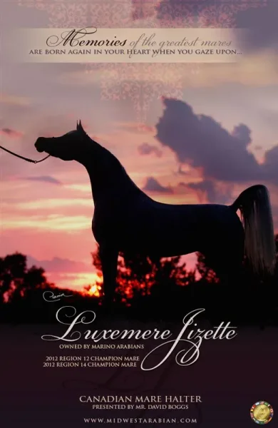 Luxemere Jizette Champion Arabian Mare