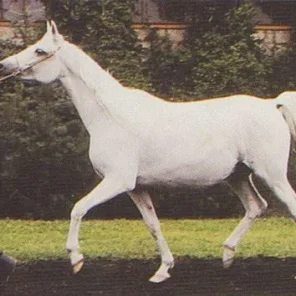 *Espada