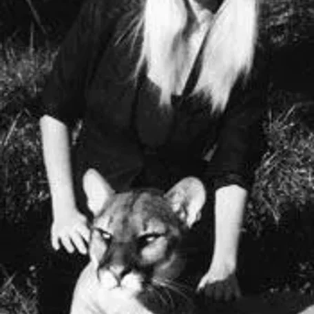 Force Free Animal Traning