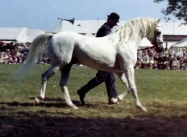 Burkan