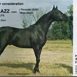 Faraazz