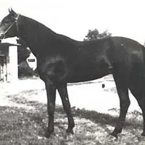 Branibor