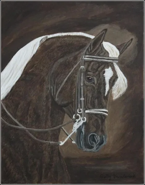 Betty Vandenack